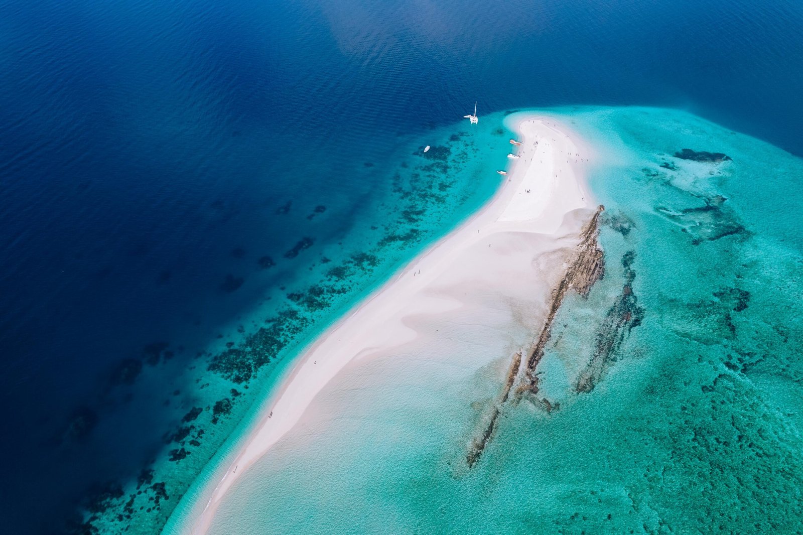 ANGA Zanzibar – wizualizacja